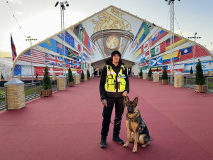 event security - Webbs k9