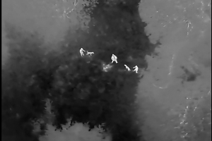 Webbs k9 security thermal drone image