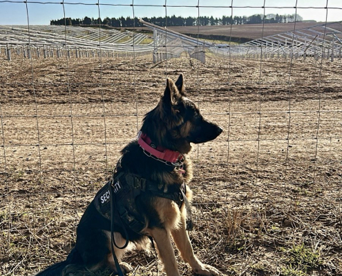 Solar Park Security
