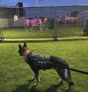 Webbs k9 Event Security