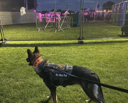 Festival & Event Security