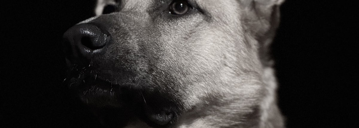 ae89c2ce-4435-4505-a1e1-fcf0d26e1e8d